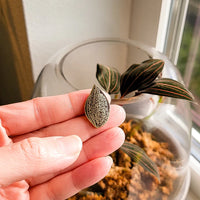 Jewel Orchid Pin