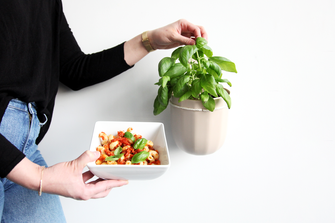 Loop Oat Hanging Planter