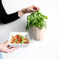 Loop Oat Hanging Planter