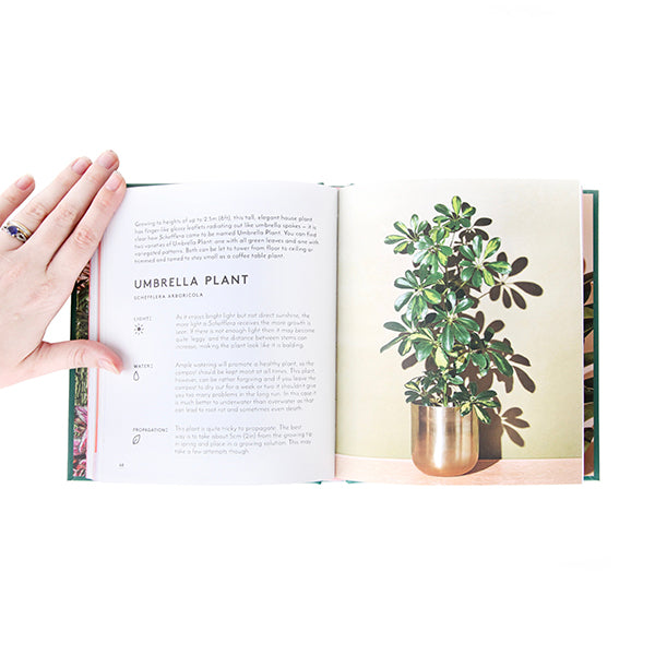 The Little Book of House Plants and Other Greenery by Emma Sibley