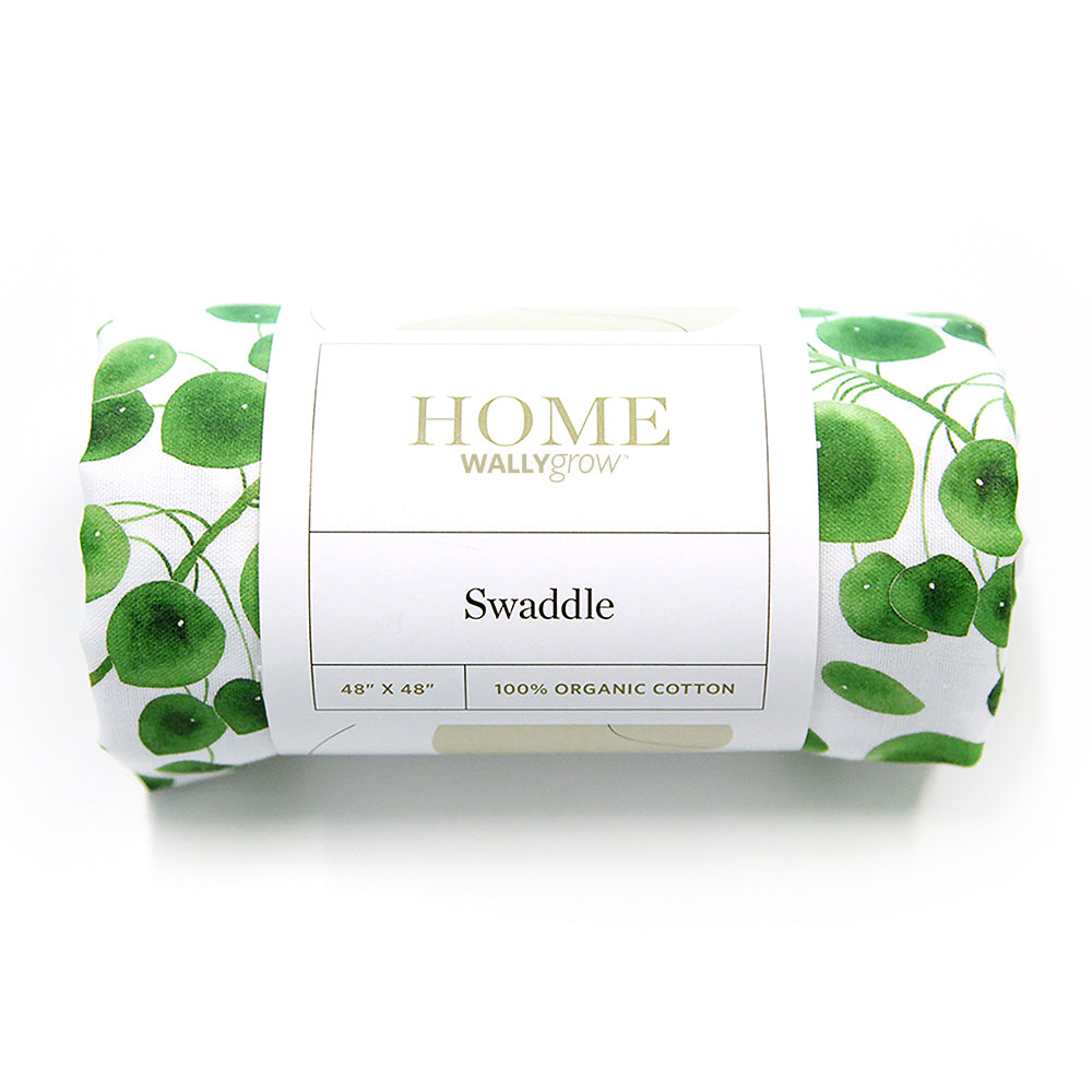 Pilea Swaddle