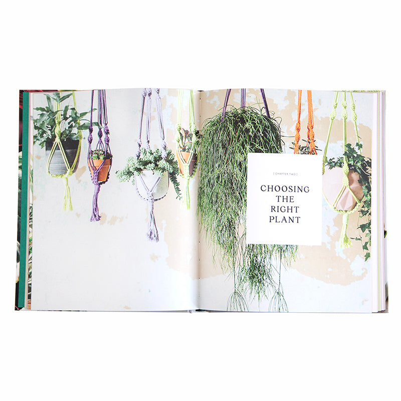 Living With Plants by Sophie Lee