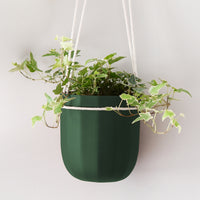 Loop Forest Hanging Planter