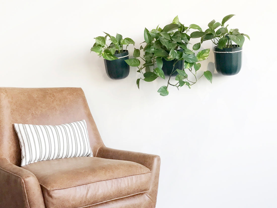 Loop Forest Hanging Planter