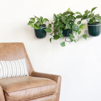 Loop Forest Hanging Planter