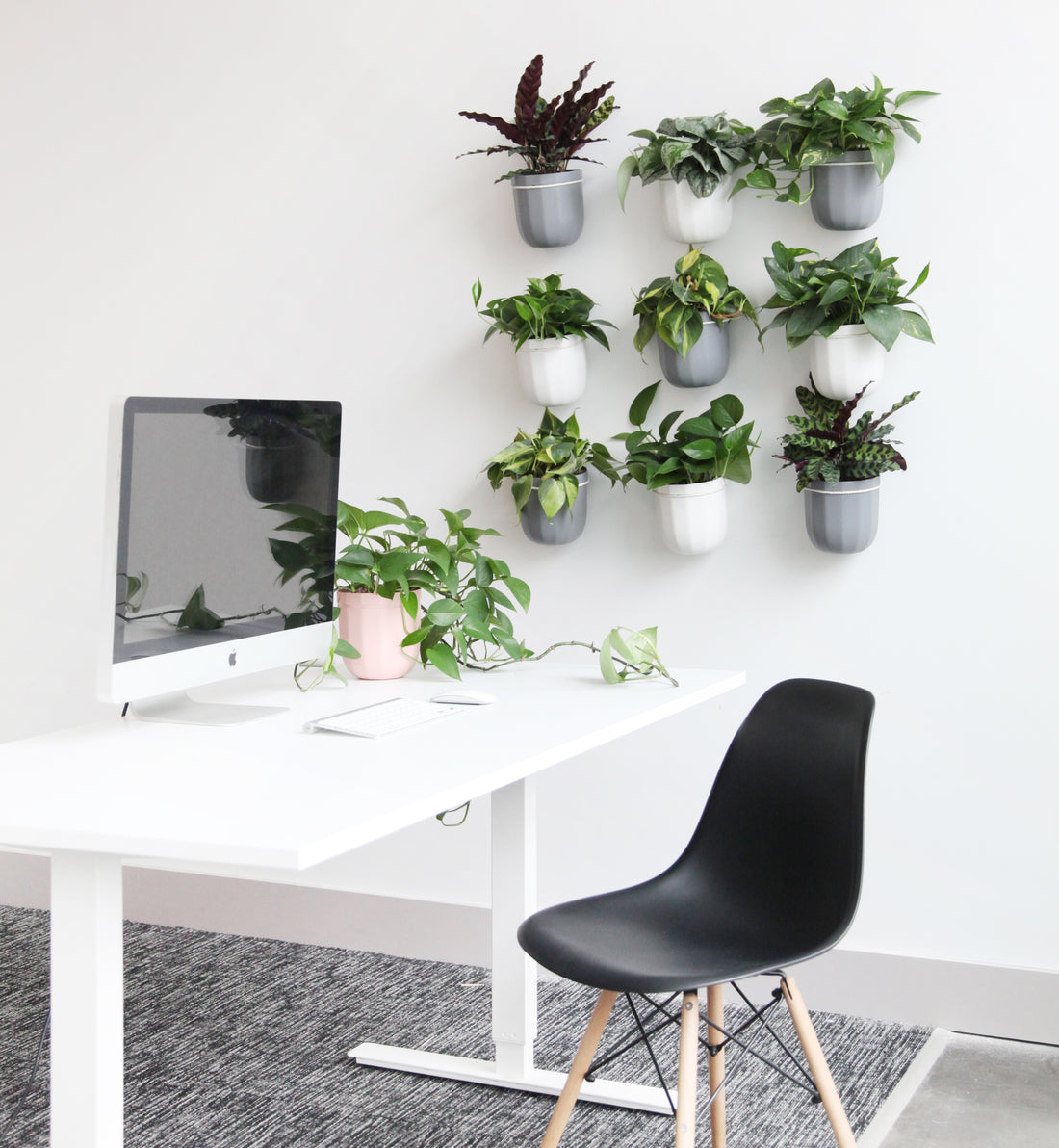 Loop Gravel Hanging Planter