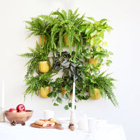 Loop Mustard Hanging Planter