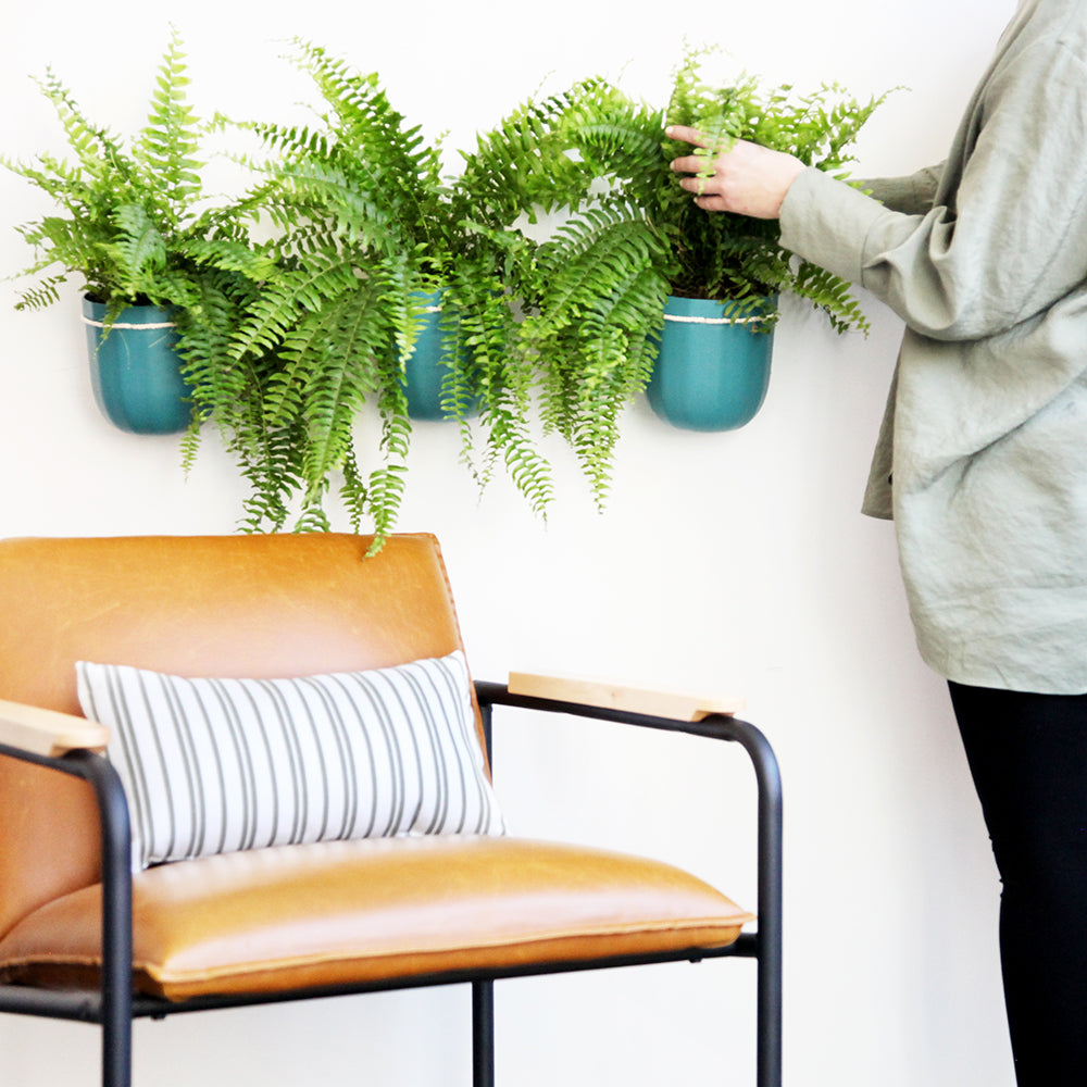 Loop Teal Hanging Planter