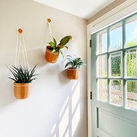 Loop Terracotta Hanging Planter