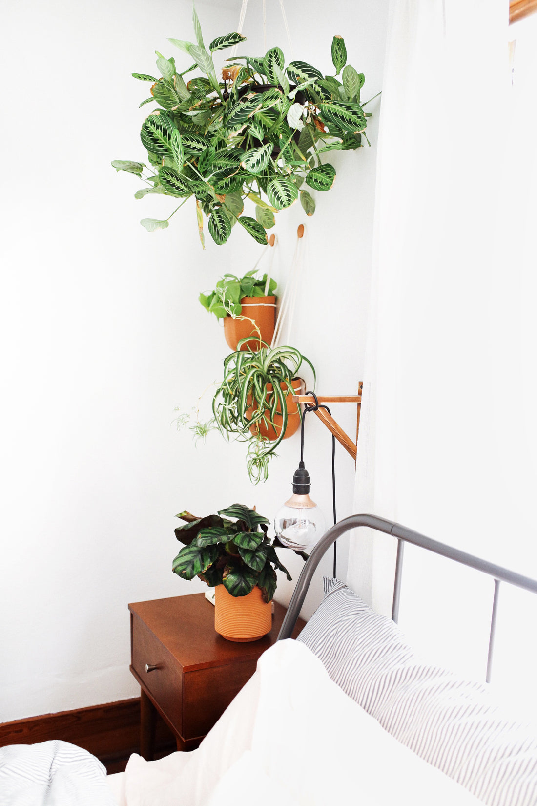 Loop Terracotta Hanging Planter