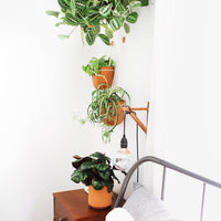 Loop Terracotta Hanging Planter