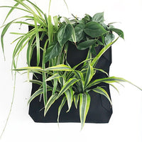 Pocket Jr. I Wall Planter