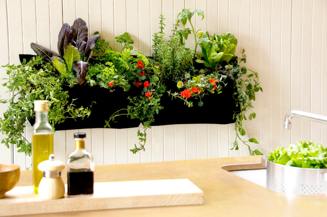 Pocket 1 Black Wall Planter