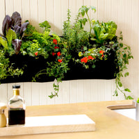 Pocket 1 Black Wall Planter