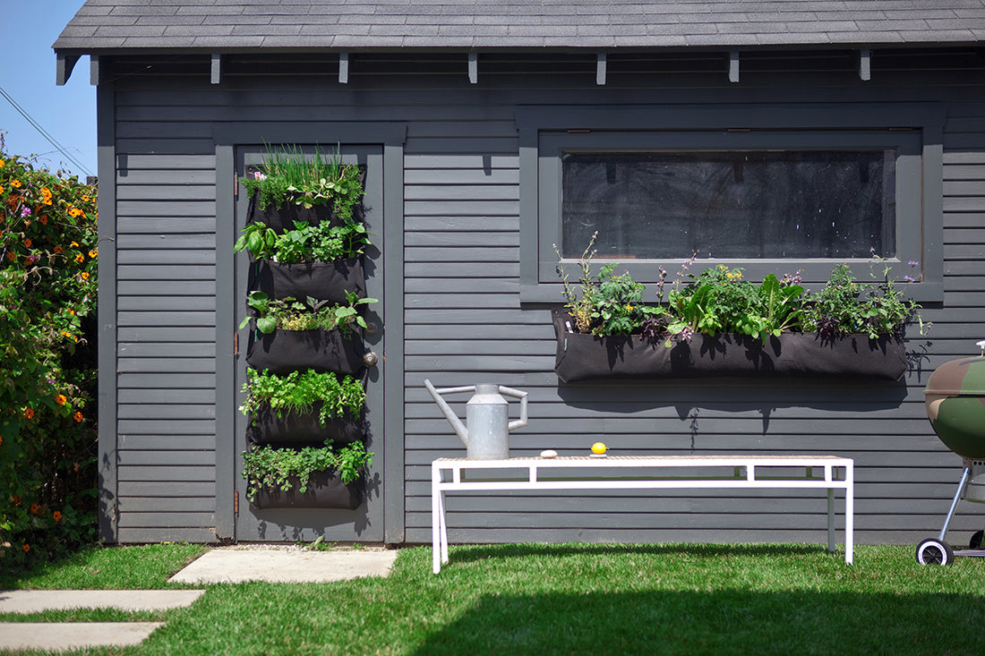 Pocket 1 Black Wall Planter
