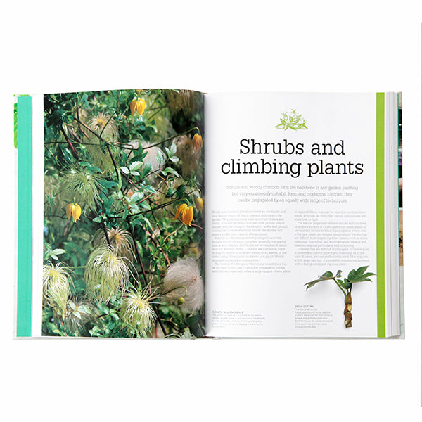 RHS Propagating Plants: How to Create New Plants for Free