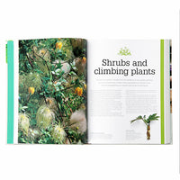 RHS Propagating Plants: How to Create New Plants for Free