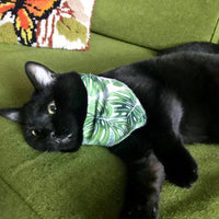 Monstera Pet Bandana