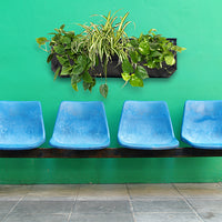 Wally Pro Jr 2 Vertical Garden Wall Planter Pocket Installation Example