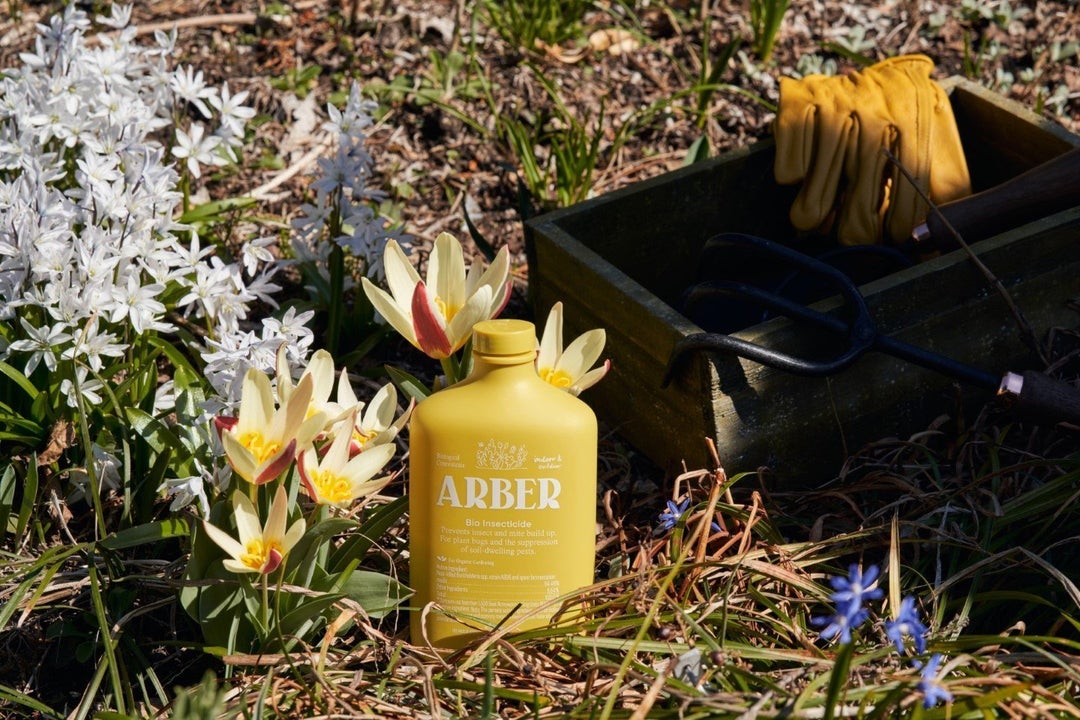 Arber Plant Insecticide