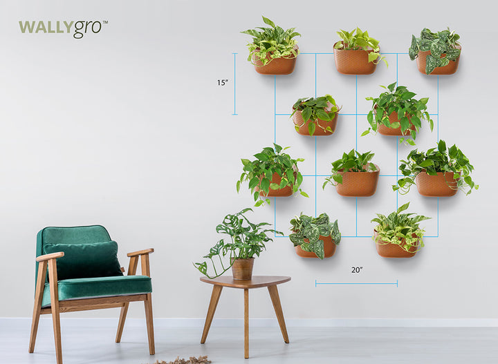 Ways to Style the Full Plant Look: 10 Eco Spacing Guide & Inspo