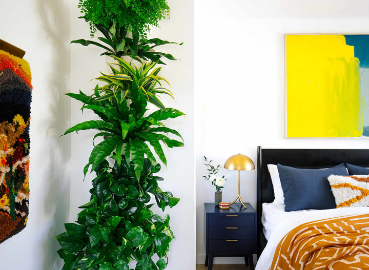 Creating A Living Wall In A Guest Bedroom