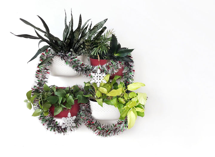 5 Ways To Decorate Your Plant Wall for the Holidays