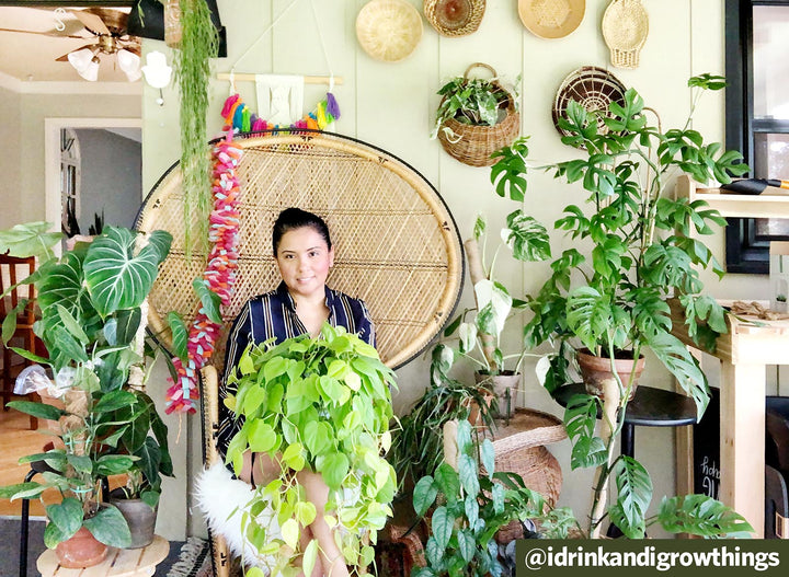Q&A: Plant Care Tips and Insight with @idrinkandigrowthings