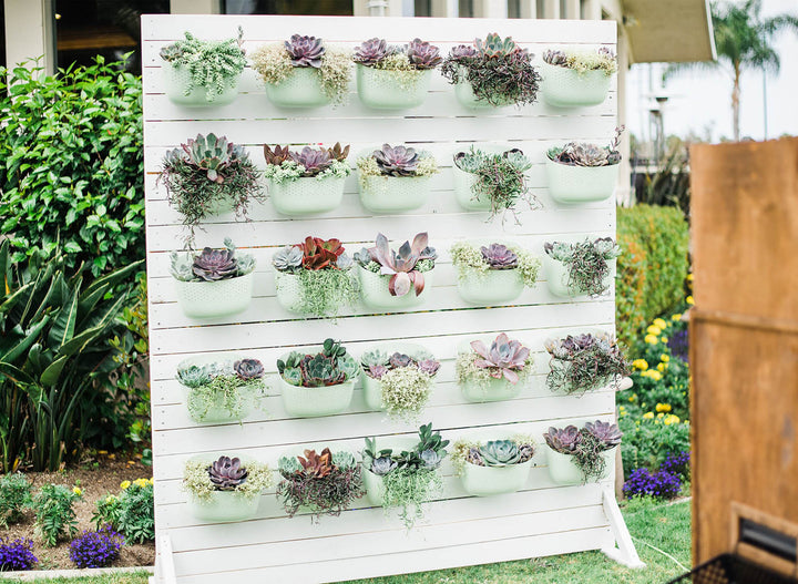 DIY Home Studio Backdrop