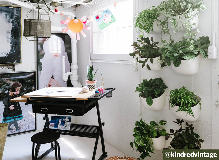 Arts and Plants: Utility Room Remodel by @kindredvintage
