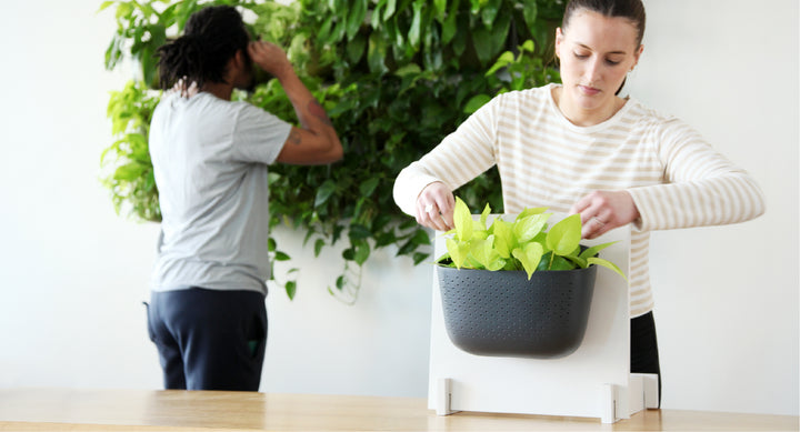 Visual Merchandising Tips That Work | DIY Countertop Demo Display