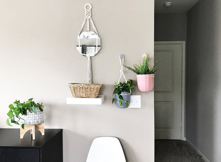 How to Quickly Transform an Awkward Wall with Plants