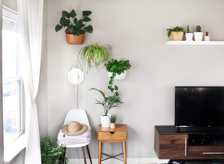 Mix-and-Match Plant Styling Tips: One Space, 6 Themes