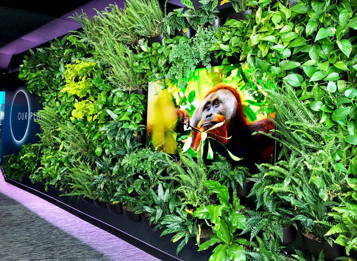 Wally Eco Vertical Garden by Greenery NYC at Our Planet Exhibition, Dolby SoHo