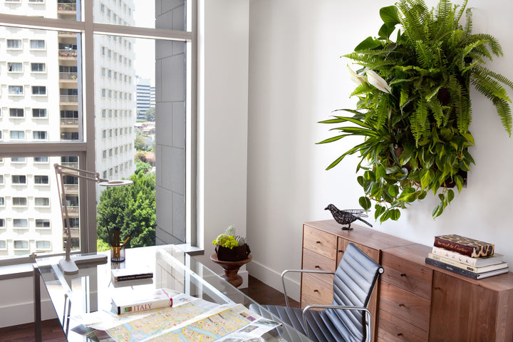 5 Benefits of Zoom Rooms: Plant Wall Edition