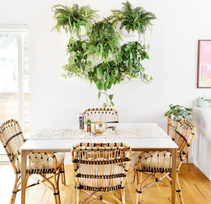 5 Tips to Create a Tablescape Background with Plants