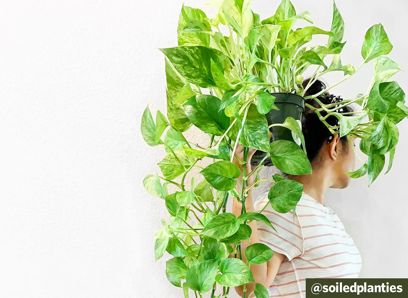Soiledplanties_Cover_630c0b30-930b-41c5-9a42-db85840153b4_4100x.jpg?v\u003d1570116490