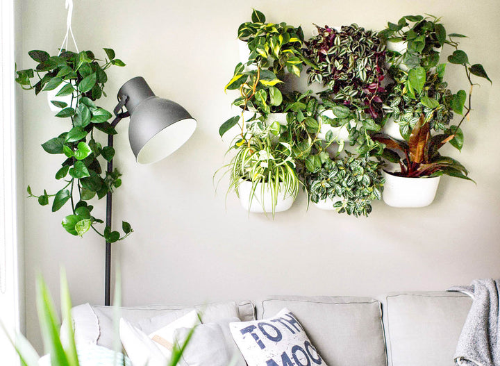 Try a Minimalist Design