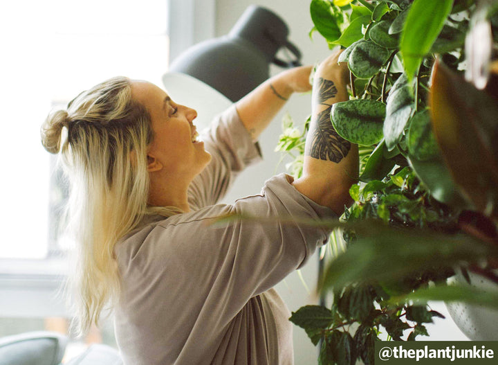Q&A: How to Care For Plants in Cold Weather with @theplantjunkie