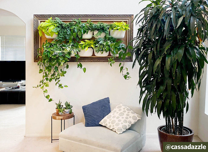 Creating an Upcycled Frame for Your Vertical Garden with @cassadazzle