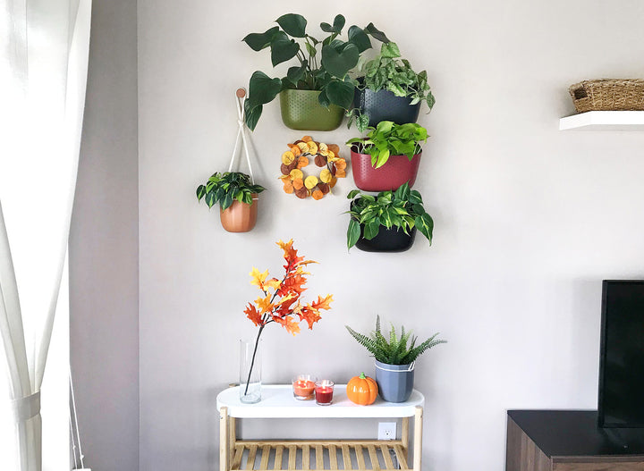 Five Easy Ways to Decorate Your House For Fall (With Plants)