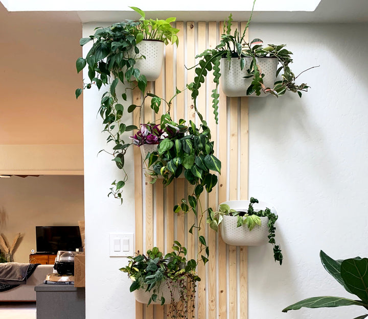 How-to: DIY Mid-Century Style Slatted Plant Wall
