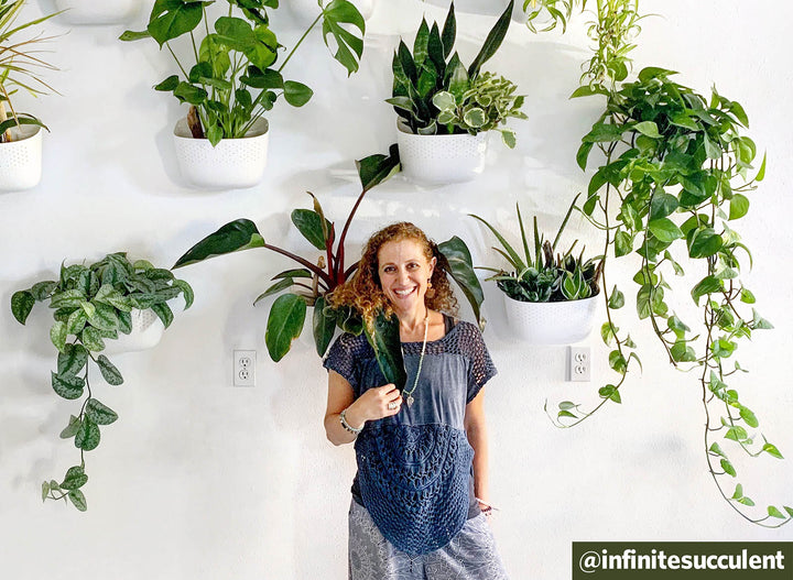 Q&A: Connecting With Nature Through Plants with @infinitesucculent