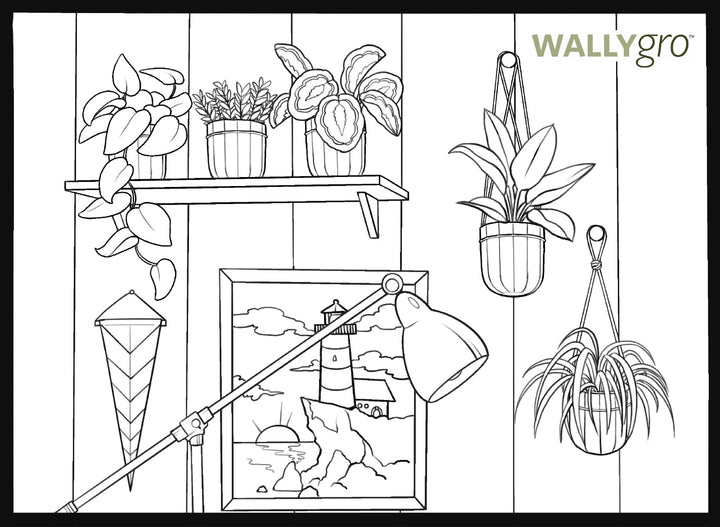 Activity: Relaxing Coloring Book Pages, Loop