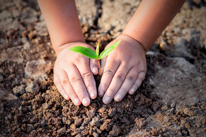 Why Is Gardening Healthy For Kids?