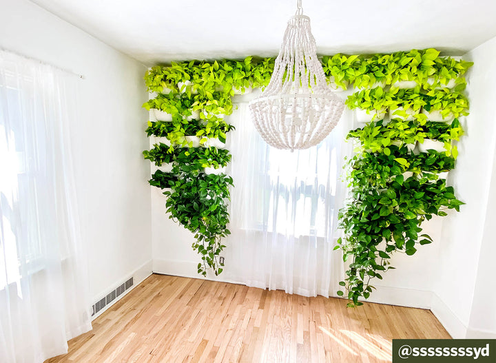 Diy Living Wall