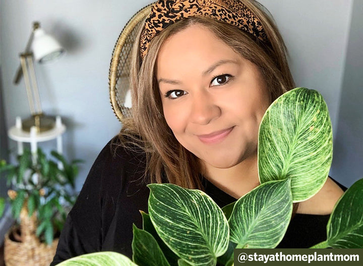 Q&A: That Plant Hoarding Life with @stayathomeplantmom
