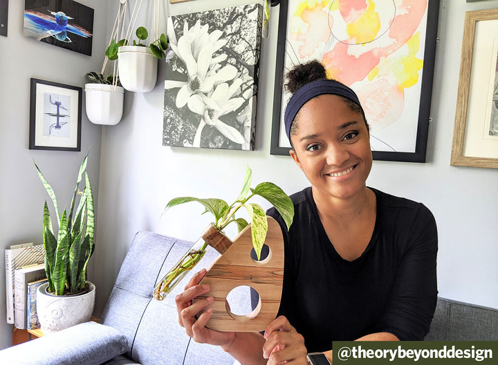 Q&A: Plant Propagation as Home Decor with @theorybeyonddesign