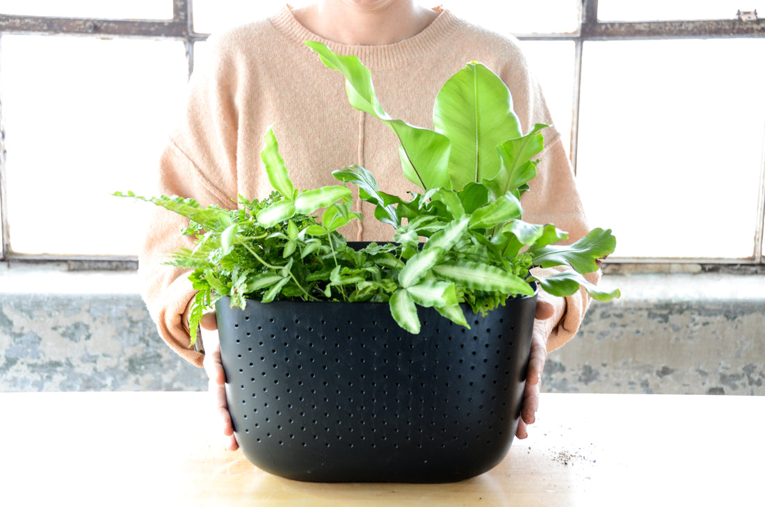 Eco Black Wall Planter
