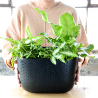 Eco Black Wall Planter